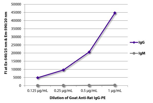 Abbildung: Ziege IgG anti-Ratte IgG (Fc)-RPE, MinX keine