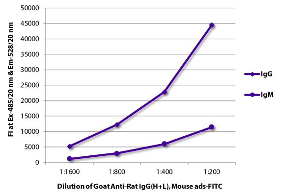 Abbildung: Ziege IgG anti-Ratte IgG (H+L)-FITC, MinX Ms
