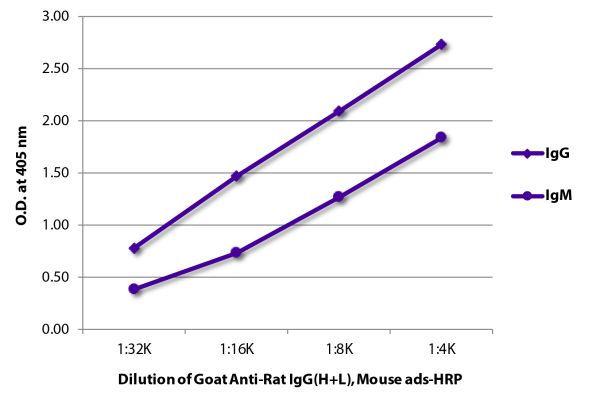 Abbildung: Ziege IgG anti-Ratte IgG (H+L)-HRPO, MinX Ms