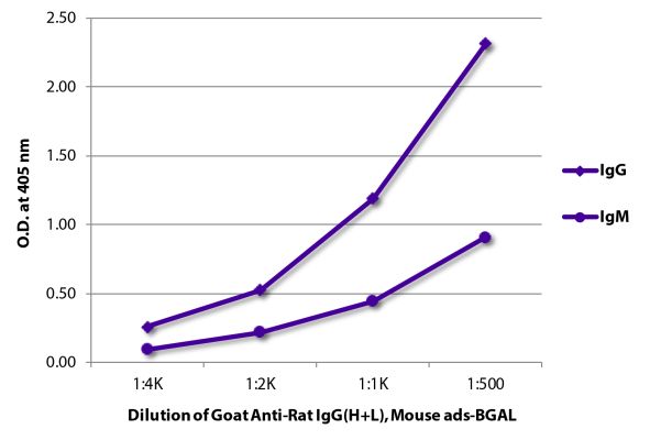 Image: Goat IgG anti-Rat IgG (H+L)-BGAL, MinX Ms