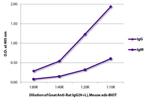 Abbildung: Ziege IgG anti-Ratte IgG (H+L)-Biotin, MinX Ms