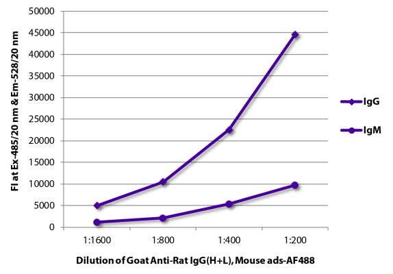 Image: Goat IgG anti-Rat IgG (H+L)-Alexa Fluor 488, MinX Ms