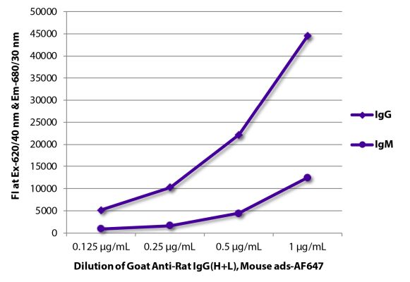Abbildung: Ziege IgG anti-Ratte IgG (H+L)-Alexa Fluor 647, MinX Ms