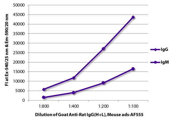 Abbildung: Ziege IgG anti-Ratte IgG (H+L)-Alexa Fluor 555, MinX Ms