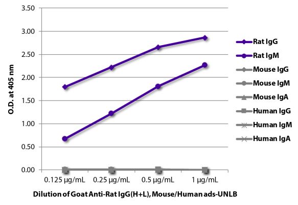 Abbildung: Ziege IgG anti-Ratte IgG (H+L)-unkonj., MinX Ms,Hu