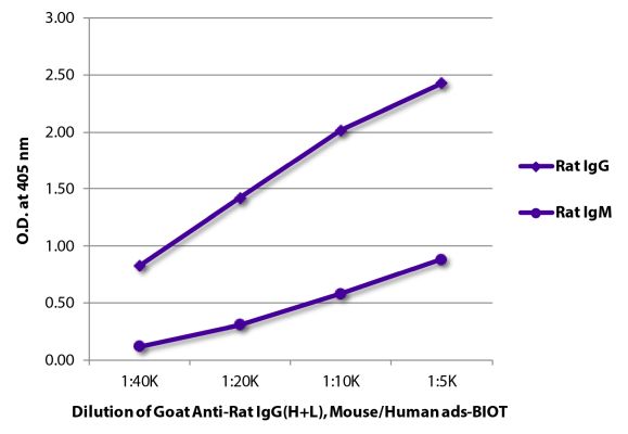 Image: Goat IgG anti-Rat IgG (H+L)-Biotin, MinX Ms,Hu