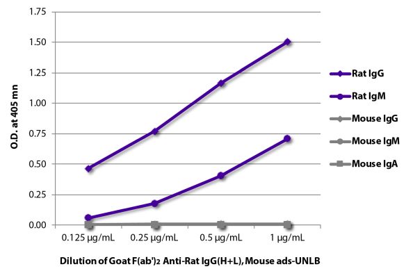 Abbildung: Ziege F(ab')2 anti-Ratte IgG (H+L)-unkonj., MinX Ms