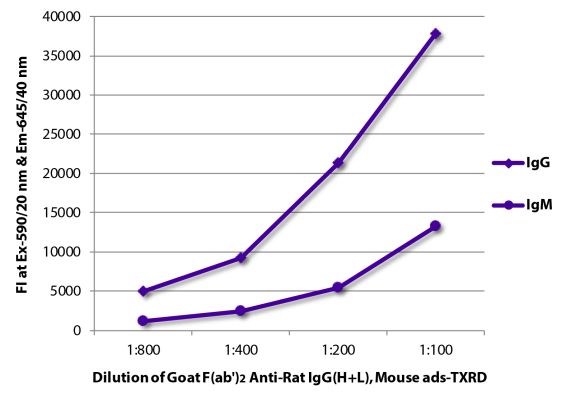 Abbildung: Ziege F(ab')2 anti-Ratte IgG (H+L)-Texas Red, MinX Ms