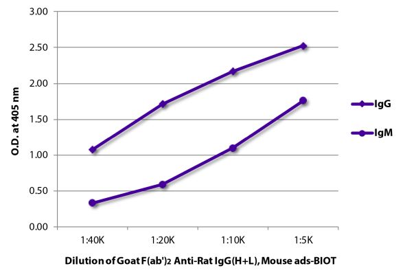 Abbildung: Ziege F(ab')2 anti-Ratte IgG (H+L)-Biotin, MinX Ms