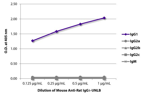 Abbildung: Maus IgG anti-Ratte IgG1 (Fc)-unkonj., MinX keine