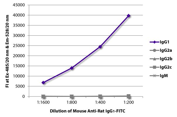 Abbildung: Maus IgG anti-Ratte IgG1 (Fc)-FITC, MinX keine