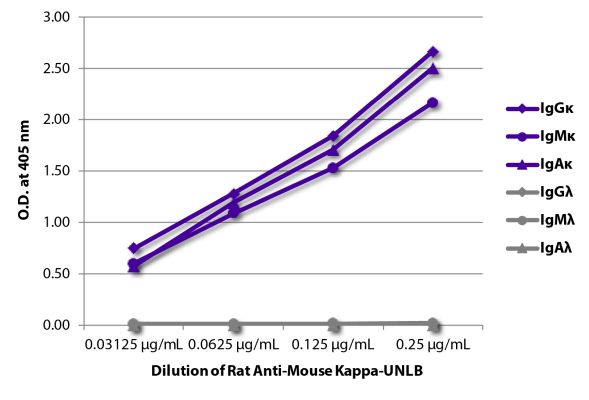 Abbildung: Maus IgG anti-Ratte IgG1 (Fc)-HRPO, MinX keine