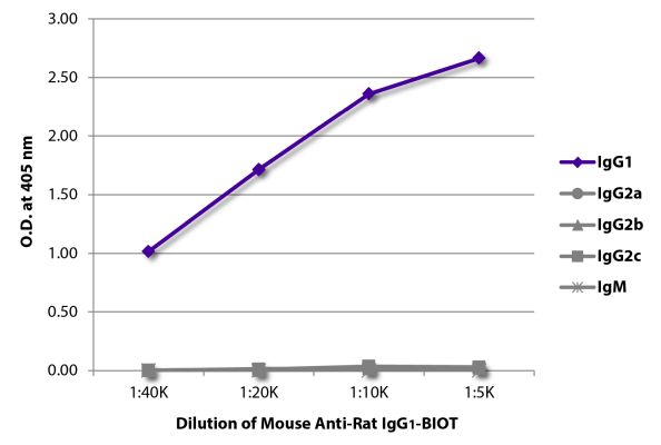 Image: Mouse IgG anti-Rat IgG1 (Fc)-Biotin, MinX none