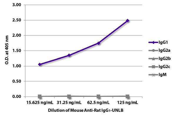Abbildung: Maus IgG anti-Ratte IgG1 (Fc)-unkonj., MinX keine