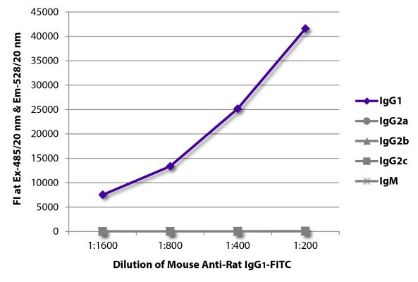 Abbildung: Maus IgG anti-Ratte IgG1 (Fc)-FITC, MinX keine