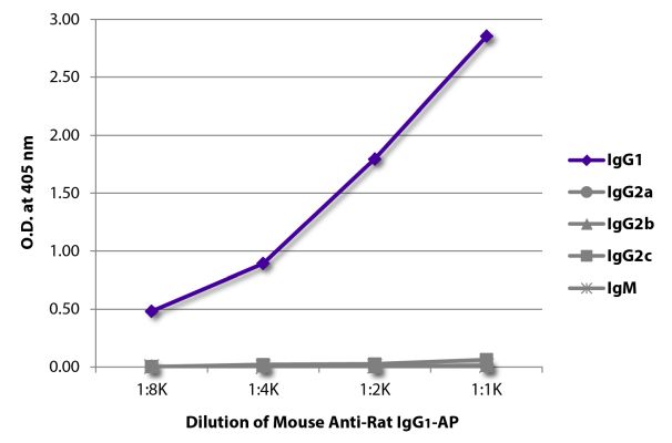 Abbildung: Maus IgG anti-Ratte IgG1 (Fc)-Alk. Phos., MinX keine