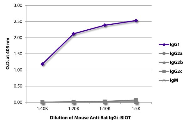 Abbildung: Maus IgG anti-Ratte IgG1 (Fc)-Biotin, MinX keine