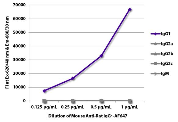 Abbildung: Maus IgG anti-Ratte IgG1 (Fc)-Alexa Fluor 647, MinX keine