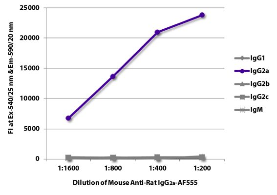 Abbildung: Maus IgG anti-Ratte IgG2a (Fc)-Alexa Fluor 555, MinX keine