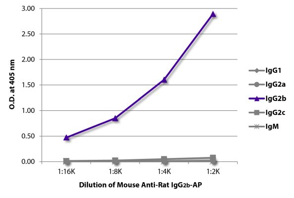 Abbildung: Maus IgG anti-Ratte IgG2b (Fc)-Alk. Phos., MinX keine