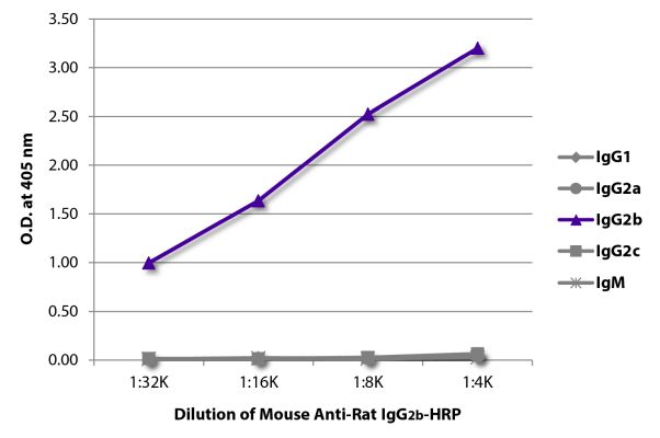 Abbildung: Maus IgG anti-Ratte IgG2b (Fc)-HRPO, MinX keine