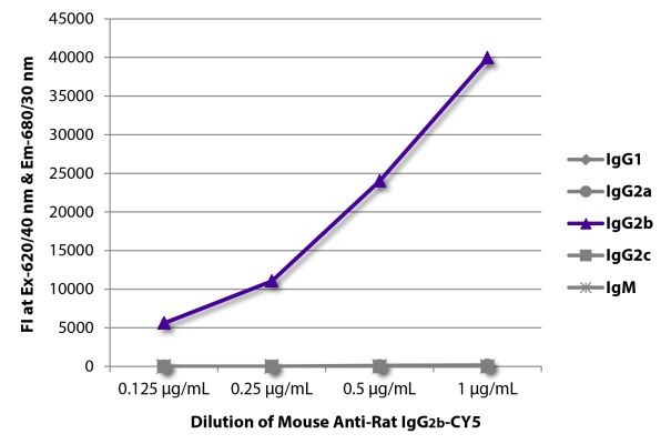 Abbildung: Maus IgG anti-Ratte IgG2b (Fc)-Cy5, MinX keine