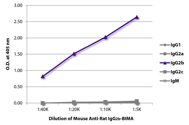 Abbildung: Maus IgG anti-Ratte IgG2b (Fc)-BIMA, MinX keine