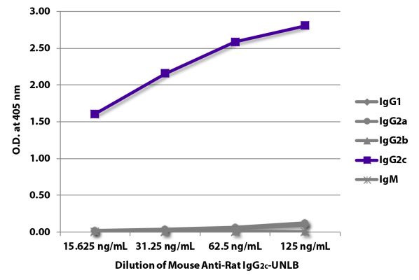 Abbildung: Maus IgG anti-Ratte IgG2c (Fc)-unkonj., MinX keine