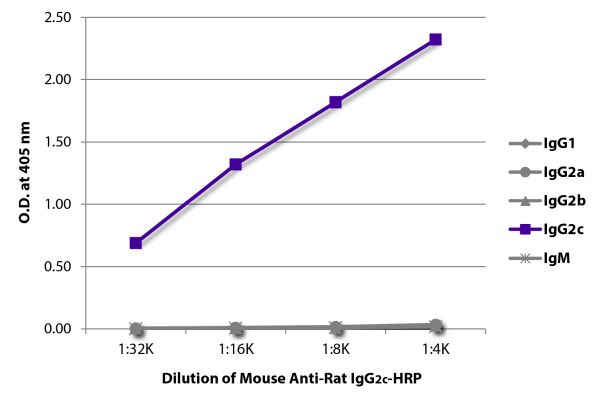 Abbildung: Maus IgG anti-Ratte IgG2c (Fc)-HRPO, MinX keine