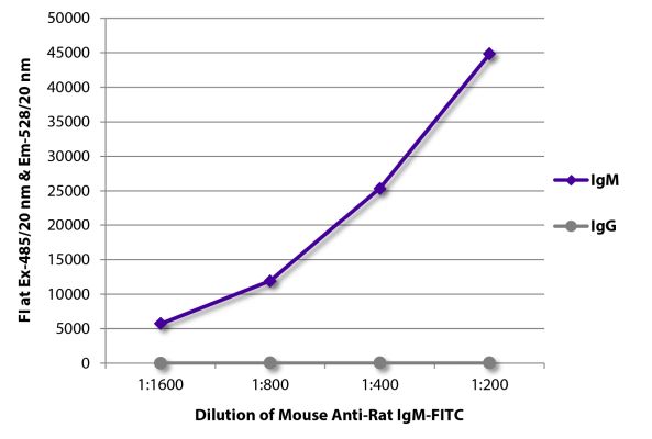 Abbildung: Maus IgG anti-Ratte IgM (µ)-FITC, MinX keine