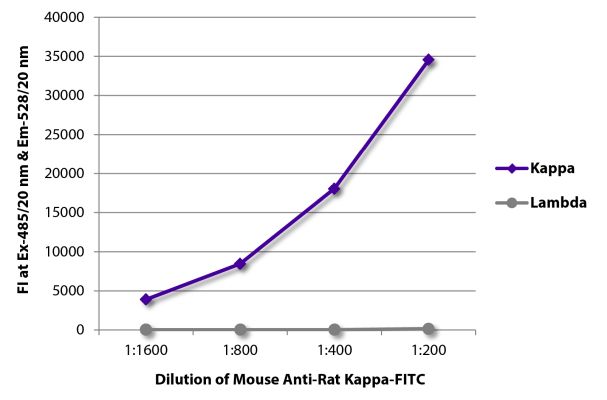 Abbildung: Maus IgG anti-Ratte Kappa (leichte Kette)-FITC, MinX keine