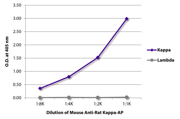 Abbildung: Maus IgG anti-Ratte Kappa (leichte Kette)-Alk. Phos., MinX keine
