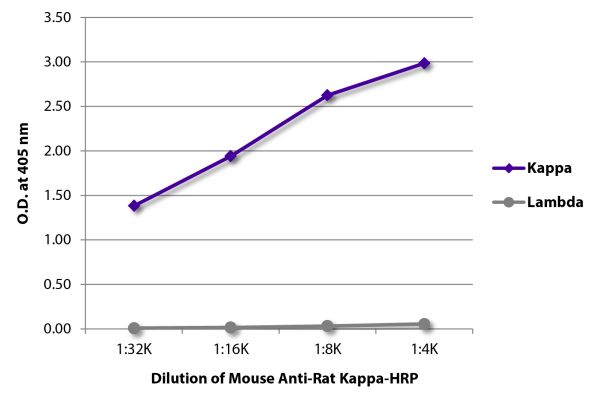 Abbildung: Maus IgG anti-Ratte Kappa (leichte Kette)-HRPO, MinX keine