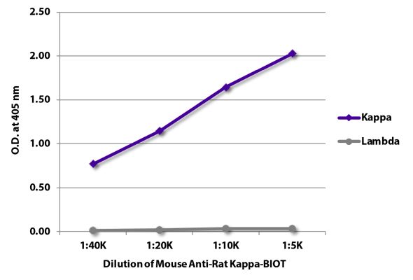 Abbildung: Maus IgG anti-Ratte Kappa (leichte Kette)-Biotin, MinX keine