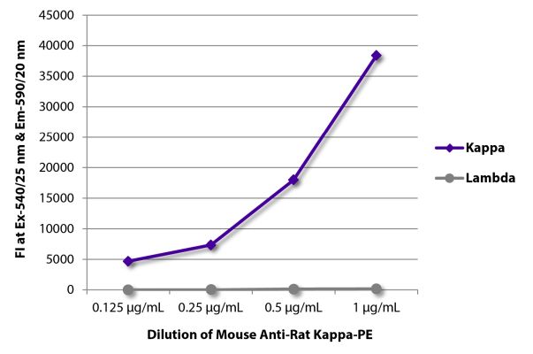 Abbildung: Maus IgG anti-Ratte Kappa (leichte Kette)-RPE, MinX keine