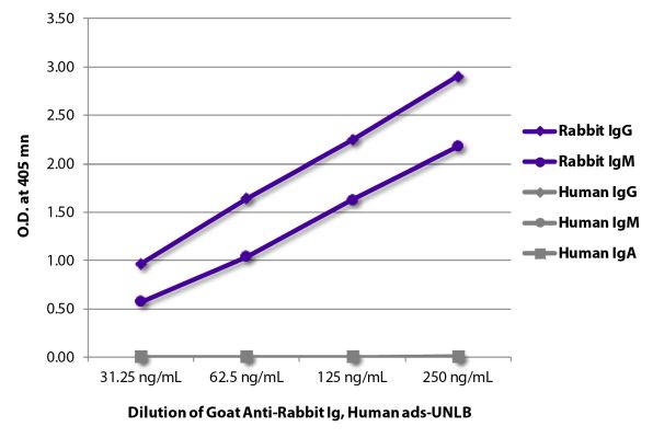 Abbildung: Ziege IgG anti-Kaninchen IgG+IgM+IgA (H+L)-unkonj., MinX Hu