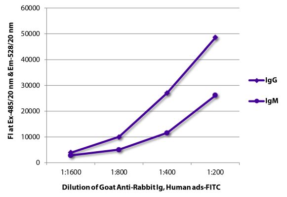 Abbildung: Ziege IgG anti-Kaninchen IgG+IgM+IgA (H+L)-FITC, MinX Hu
