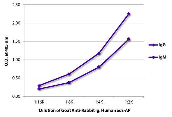 Image: Goat IgG anti-Rabbit IgG+IgM+IgA (H+L)-Alk. Phos., MinX Hu