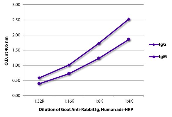 Image: Goat IgG anti-Rabbit IgG+IgM+IgA (H+L)-HRPO, MinX Hu