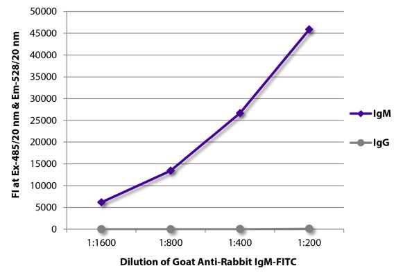 Abbildung: Ziege IgG anti-Kaninchen IgM (µ)-FITC, MinX keine
