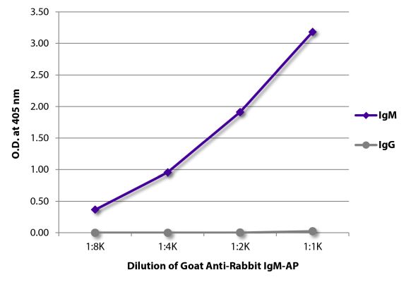 Abbildung: Ziege IgG anti-Kaninchen IgM (µ)-Alk. Phos., MinX keine