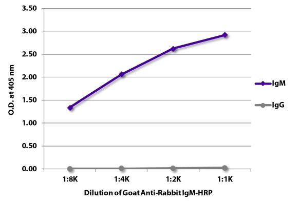 Abbildung: Ziege IgG anti-Kaninchen IgM (µ)-HRPO, MinX keine