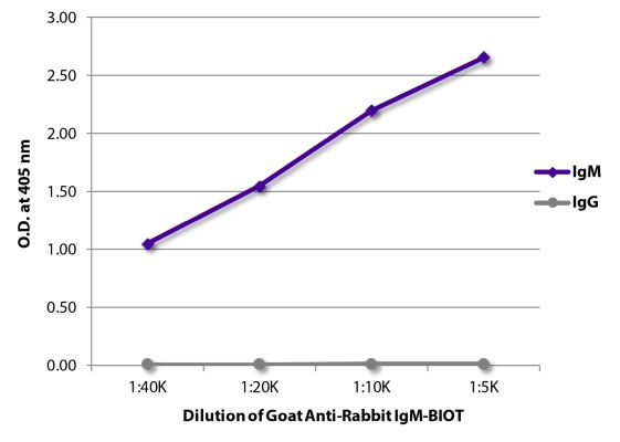 Abbildung: Ziege IgG anti-Kaninchen IgM (µ)-Biotin, MinX keine