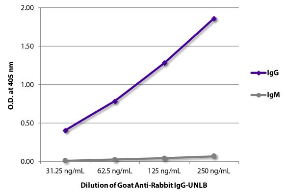 Abbildung: Ziege IgG anti-Kaninchen IgG (Fc)-unkonj., MinX keine