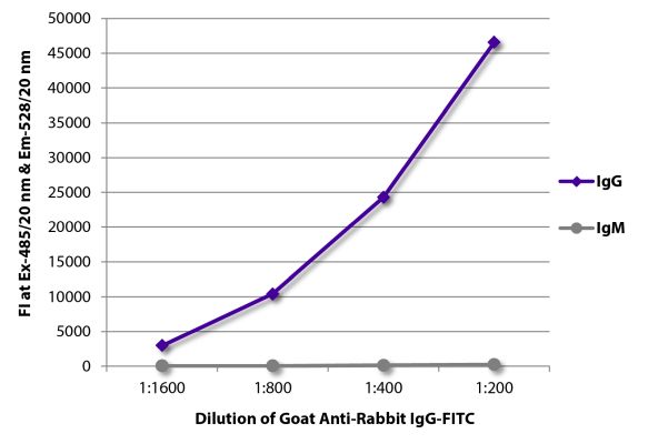 Abbildung: Ziege IgG anti-Kaninchen IgG (Fc)-FITC, MinX keine