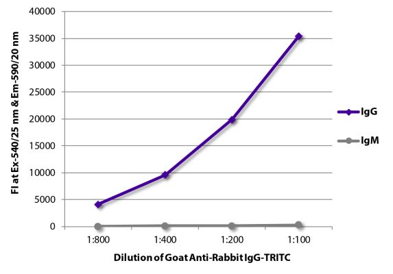 Abbildung: Ziege IgG anti-Kaninchen IgG (Fc)-TRITC, MinX keine