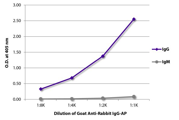 Abbildung: Ziege IgG anti-Kaninchen IgG (Fc)-Alk. Phos., MinX keine