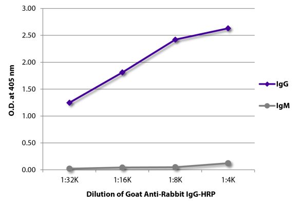 Abbildung: Ziege IgG anti-Kaninchen IgG (Fc)-HRPO, MinX keine