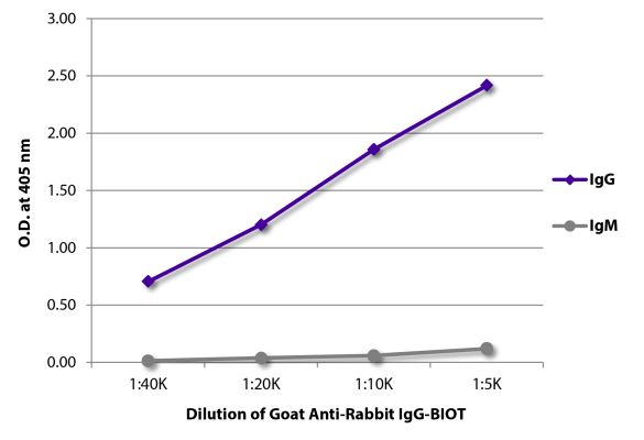 Abbildung: Ziege IgG anti-Kaninchen IgG (Fc)-Biotin, MinX keine