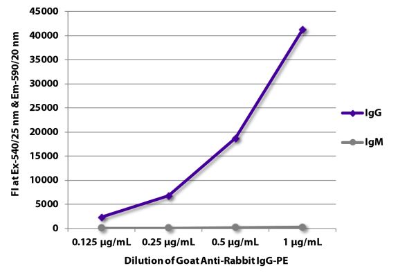 Abbildung: Ziege IgG anti-Kaninchen IgG (Fc)-RPE, MinX keine